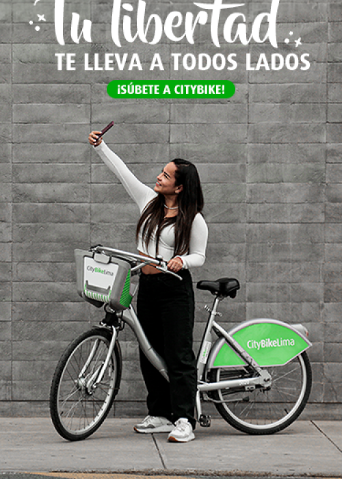 Bicicletas por mayor lima outlet